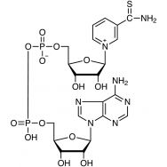 硫代烟酰胺腺嘌呤二核苷酸 (氧化型) [用于生化研究]